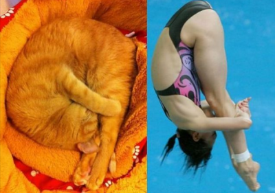 Прикрепленное изображение: Снимок.PNG